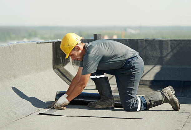 Best Residential Insulation Services  in Crystal, MN